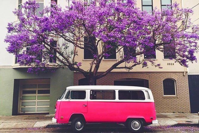 Painted Ladies San Francisco City Tour - Who Is This Tour Best For?