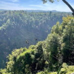 Pakse: Mystic Falls & Timeless Temples of Southern Laos Tour - Final Thoughts: Who Will Benefit Most?