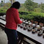 Palampur and Bir Tour, Tea Gardens, Adventures and Paragliding - Practical Details and What Travelers Should Know