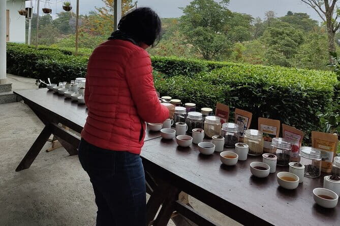 Palampur and Bir Tour, Tea Gardens, Adventures and Paragliding - Practical Details and What Travelers Should Know