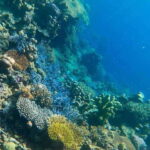 Palawan: Coron Island Super Ultimate Private Tour - In-Depth Look at the Coron Island Super Ultimate Private Tour