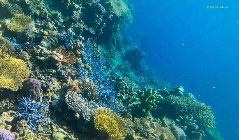 Palawan: Coron Island Super Ultimate Private Tour - In-Depth Look at the Coron Island Super Ultimate Private Tour