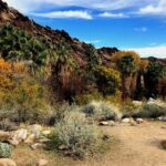 Palm Springs Self-Guided Driving Audio Tour - Itinerary Breakdown: What to Expect at Each Stop