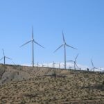 Palm Springs Windmill Tours - The Sum Up: Is This Tour Worth Your Time?