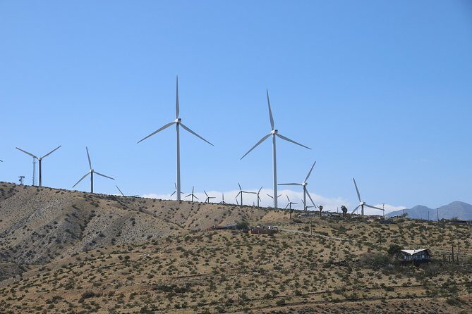 Palm Springs Windmill Tours - The Sum Up: Is This Tour Worth Your Time?