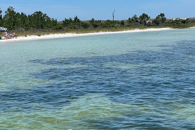 Panama City Beach Florida, Dolphin, Shell Island and Eco Tours - Practical Tips & Considerations