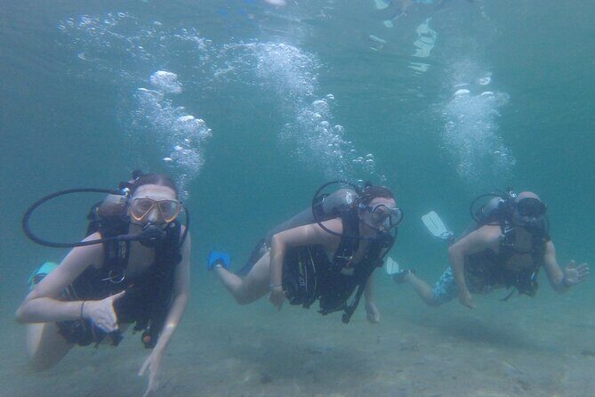 Panama City Scuba Diving Activity for Beginners - What the Itinerary Looks Like