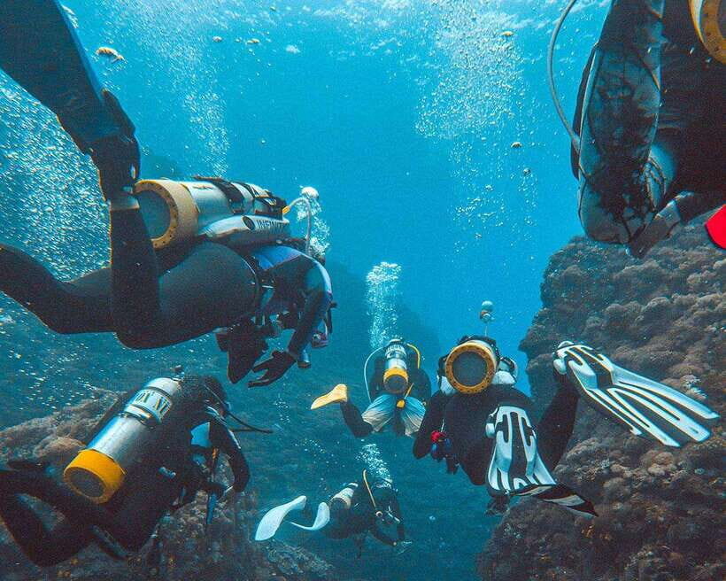 Panglao Bohol: Try Scuba Diving at Napaling and Sardines - Why This Scuba Tour Stands Out in Panglao