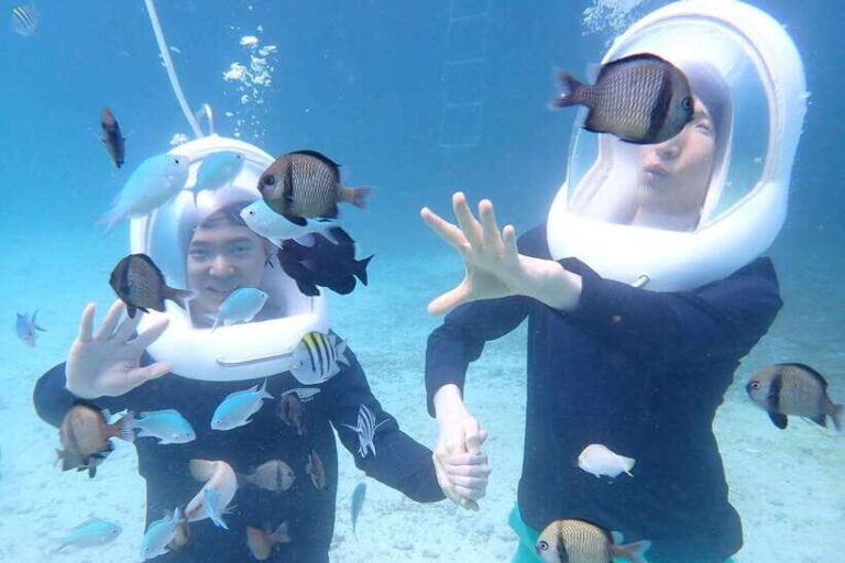 Panglao: Helmet Diving Experience with Photos and Videos - Final Thoughts: Who’s This Tour For?