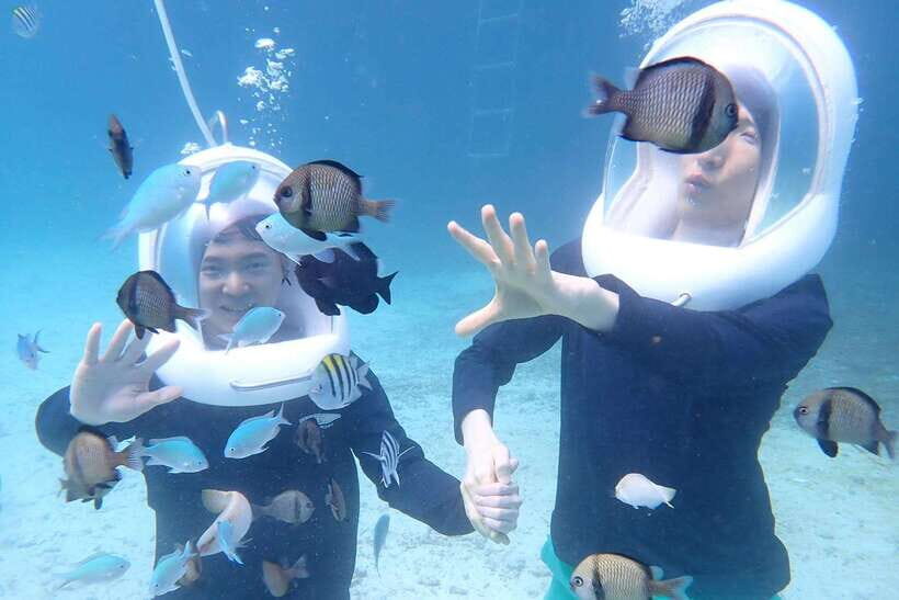 Panglao: Helmet Diving Experience with Photos and Videos - Final Thoughts: Who’s This Tour For?