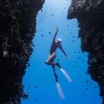 Panglao: Napaling Reef and Sardines Freediving Experience - Authentic Experiences and Genuine Value