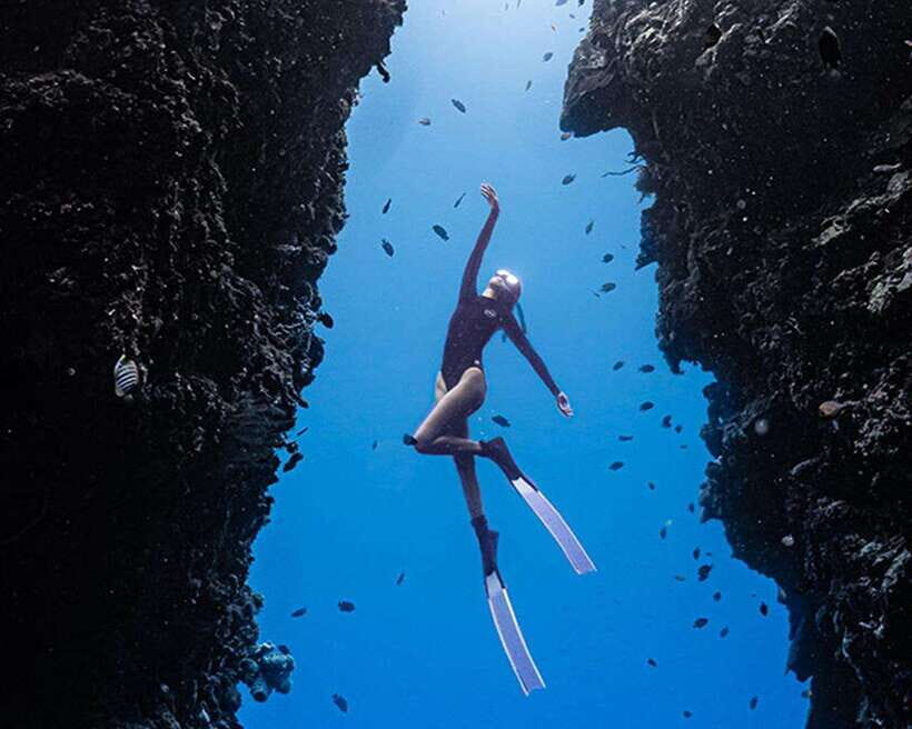 Panglao: Napaling Reef and Sardines Freediving Experience - Authentic Experiences and Genuine Value