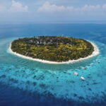 Panglao:Balicasag Island Tour with Turtle & Dolphin Watching - Why This Tour Might Be Right for You