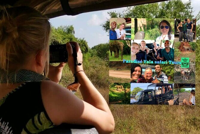 Paradise Yala Safari Tours - Key Points