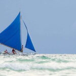 Paraw Sailing Day Tour - Why Choose the Paraw Sailing Tour?