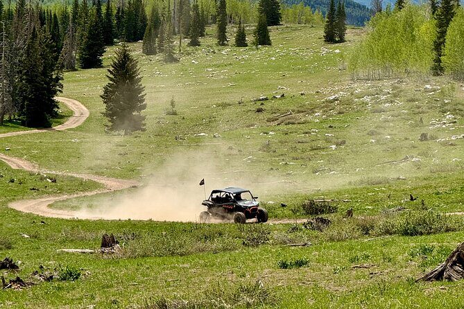 Park City ATV and UTV Rentals (4 Seater RZR) - The Sum Up