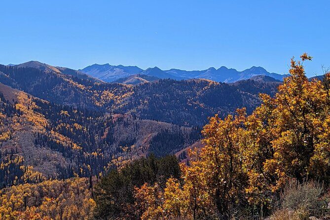 Park City Hiking Activity with Local Guide - The Sum Up: Who’s This Tour Best For?