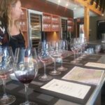 Paso Robles Wine Adventure with pickup from Morro Bay, CA - The Authenticity & Who It’s Best For