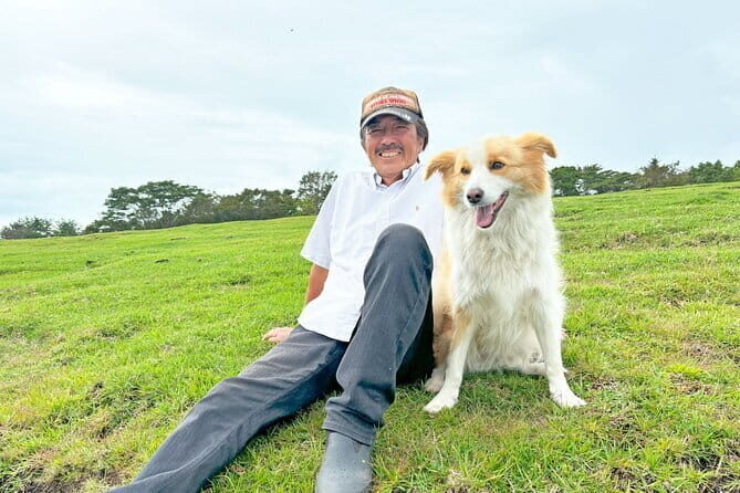 Pasture Hike with Horse Whisperer at Horse Trust in Kagoshima - The Sum Up