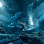 Pattaya: Underwater World Pattaya Aquarium Admission Ticket - Who Should Visit?