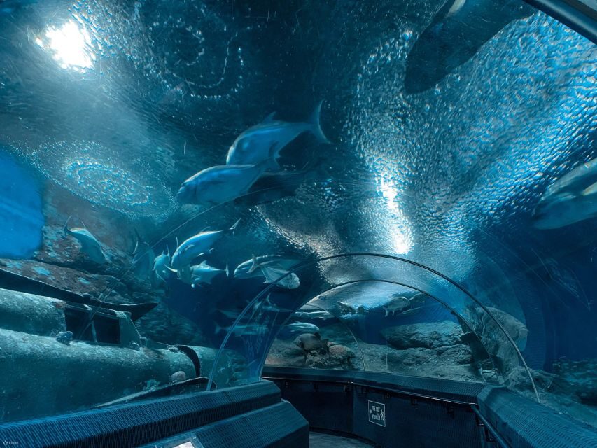 Pattaya: Underwater World Pattaya Aquarium Admission Ticket - Who Should Visit?