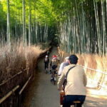 Peaceful Pedals: Arashiyama Slow Cycling Retreat - Exploring Togetsukyo Bridge and Arashiyama