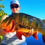 Peacock Bass Fishing Trip in Boynton Beach - Who Will Love This Tour?