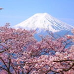 Peaks & Peace: Mt. Fuji, Fuji Stupa & Hakone Tour - Who Will Love This Tour?