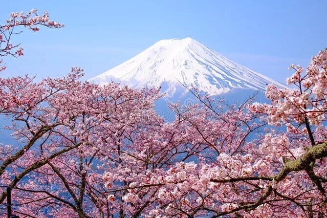 Peaks & Peace: Mt. Fuji, Fuji Stupa & Hakone Tour - Who Will Love This Tour?