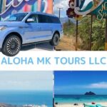 Pearl Harbor, Dole, N.Shore luxury group priced Customizable tour - Practical Considerations and Potential Drawbacks