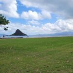 Pearl Harbor Island Tour with lunch and Byodo Temple - The Sum Up: Who will love this tour?