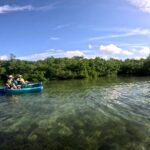 Pedal Kayak Mangrove Tunnel Tour in Bradenton - The Experience in Detail