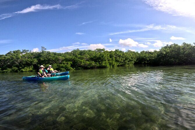Pedal Kayak Mangrove Tunnel Tour in Bradenton - The Experience in Detail