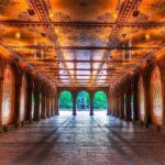 Pedicab 1 Hour Central Park Tour - Who Is This Tour Best For?