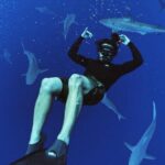 Pelagic Shark Dive Tour - Who This Tour Is Best For