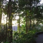 Penang: The Habitat Penang Hill Entry Ticket - Exploring The Habitat Penang Hill in Depth