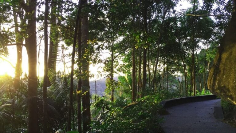 Penang: The Habitat Penang Hill Entry Ticket - Exploring The Habitat Penang Hill in Depth