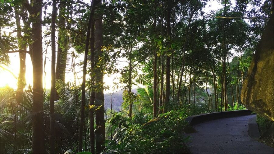 Penang: The Habitat Penang Hill Entry Ticket - Exploring The Habitat Penang Hill in Depth