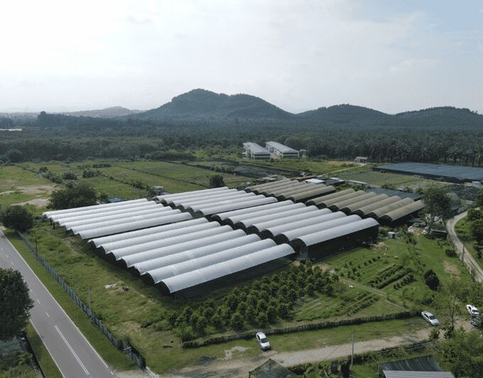 Penang: The Vanilla Village Farm Tour by Kairos - Exploring Penang’s Vanilla Village: A Natural and Educational Escape