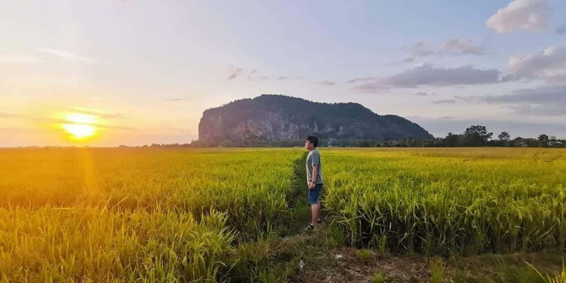 Penang:Full-Day Tour to Kedah with Local Guide and Driver - Who Is This Tour Best For?