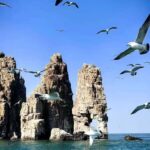 Penglai: Changdao Island Tour - Practical Tips for Making the Most of This Tour