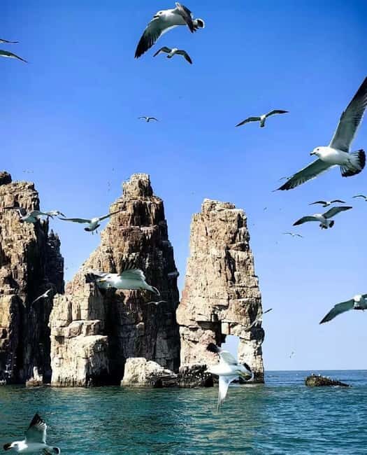 Penglai: Changdao Island Tour - Practical Tips for Making the Most of This Tour