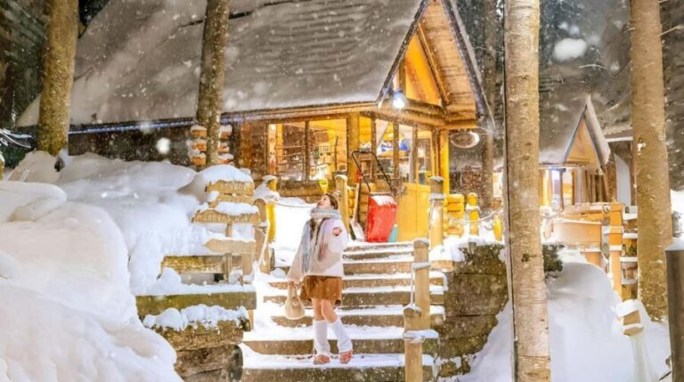 Penguin Fun & Snowmobile : Sapporo Winter (Asahiyama Zoo) - A Closer Look at the Tour Experience