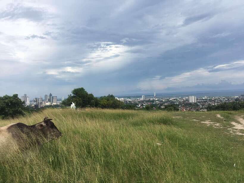 Personal Guide to Starbuk's Banawa, Cebu City - Diving Into the Details: What This Tour Really Offers