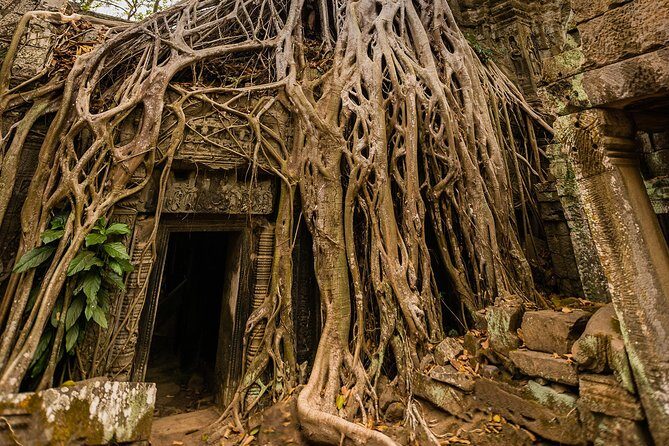 Personalised Angkor Wat Day Tour by an Air-conditioned Car - The Sum Up: Who Will Love This Tour?