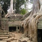 Personalised Angkor Wat Sunrise Tour by an air-conditioned car - The Experience in Detail