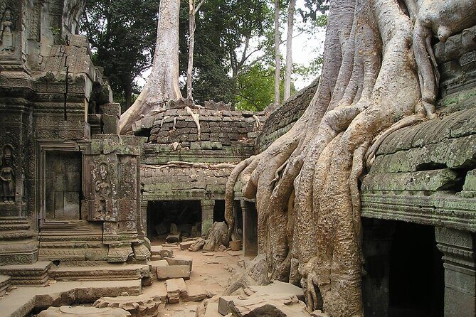 Personalised Angkor Wat Sunrise Tour by an air-conditioned car - The Experience in Detail