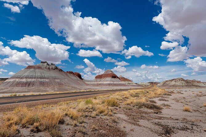 Petrified Forest National Park Self Guided Audio Driving Tour - Who Is This Tour Best For?
