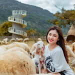 Phan Rang Full-Day: Hang Rai, Vinh Hy, Vineyard & Sheep Farm - Who Will Love This Tour?