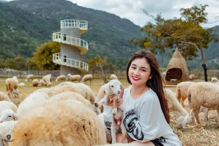 Phan Rang Full-Day: Hang Rai, Vinh Hy, Vineyard & Sheep Farm - Who Will Love This Tour?